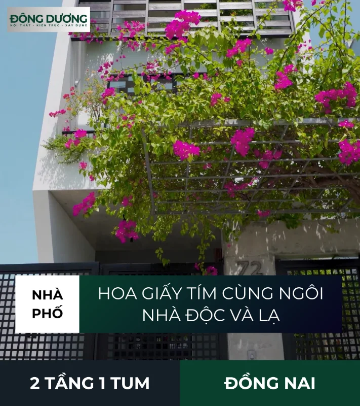 Nhà phố và hoa giấy tím