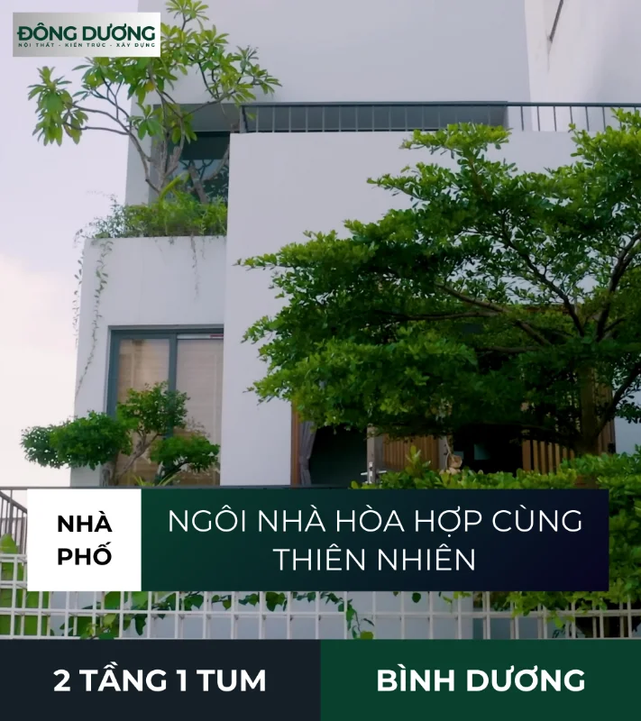 Nhà phố hòa hợp với thiên nhiên